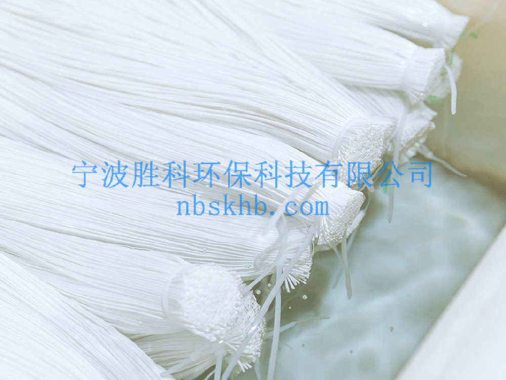 均質(zhì)膜