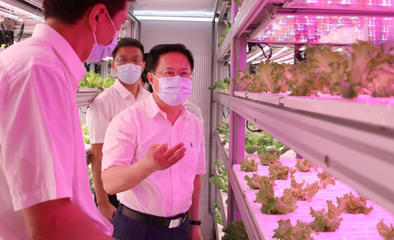 鄭柵潔調(diào)研省農(nóng)科院 強(qiáng)化市場與效率意識(shí)，驅(qū)動(dòng)農(nóng)業(yè)科技創(chuàng)新新篇章