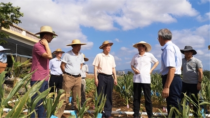 我校國家農(nóng)業(yè)科技戰(zhàn)略研究院赴海南開展熱帶農(nóng)業(yè)科技創(chuàng)新調(diào)研，助力農(nóng)業(yè)科研發(fā)展新篇章